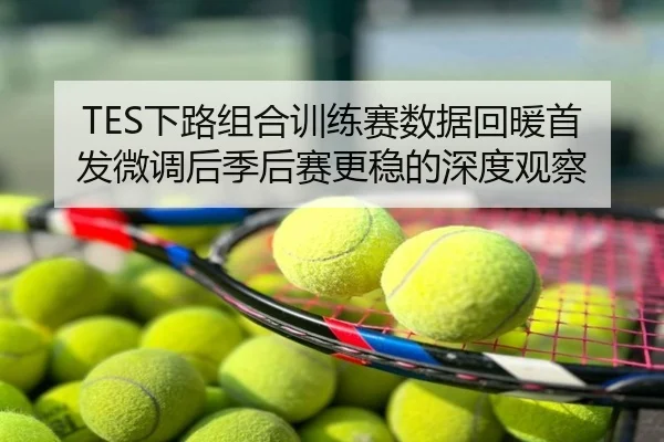 TES下路组合训练赛数据回暖首发微调后季后赛更稳的深度观察